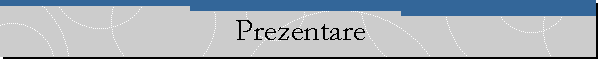 Prezentare